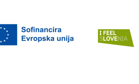 logo EU I feel