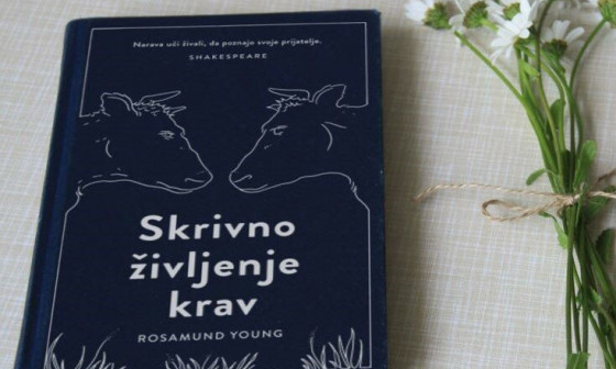 Skrivno zivljenje krav splet 67ed3180676be