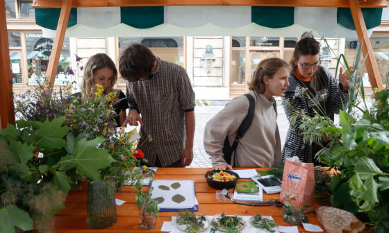 20240522 festival Raznozivo nrovan 013