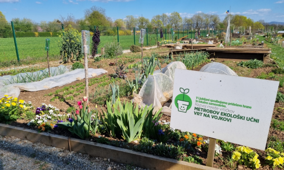 vrtičkarska delavnica